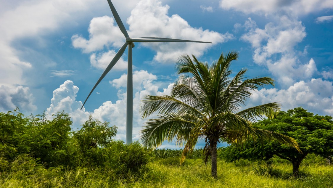 wind turbine in-between palms